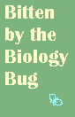 Bitten by the Biology Bug