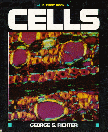 Cells