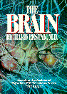 The Brain